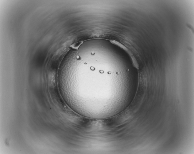 X0000100910127200807011252