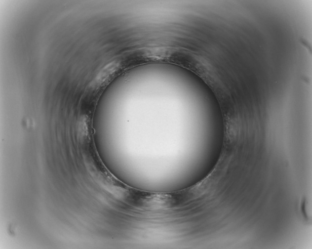 X0000100910128200807011252