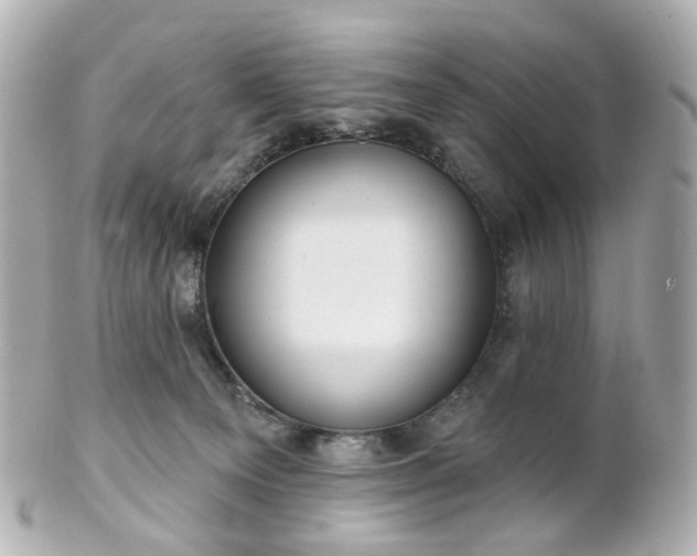 X0000100910129200807011252