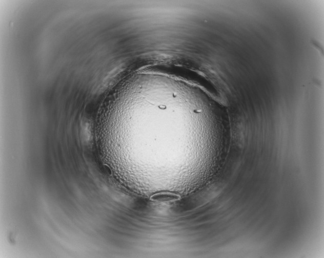 X0000100910131200807011252