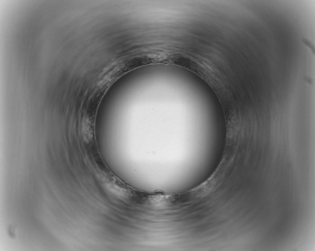 X0000100910136200807011252