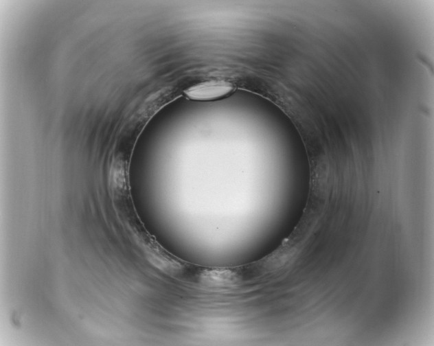 X0000100910137200807011252