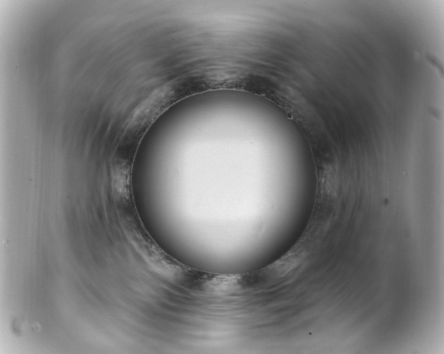 X0000100910138200807011252