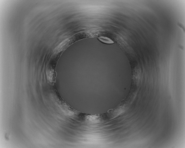 X0000100910139200807011252