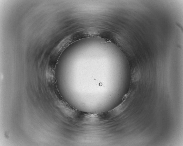 X0000100910140200807011252