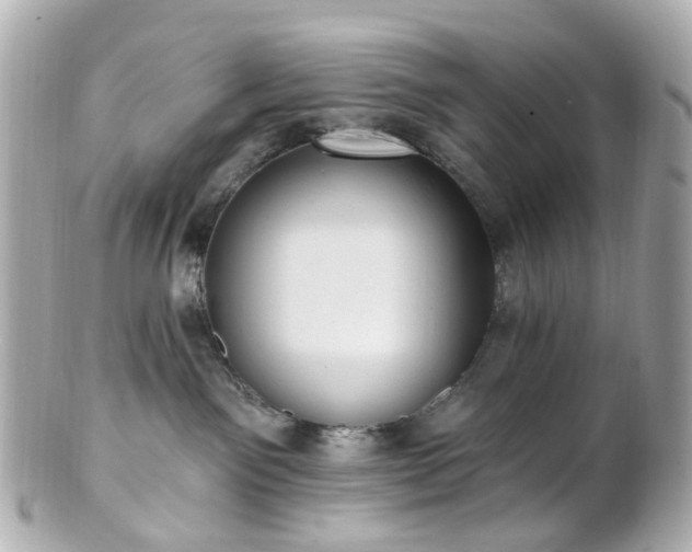 X0000100910141200807011252
