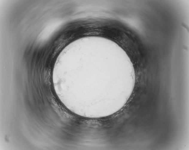 X0000100910146200807011251