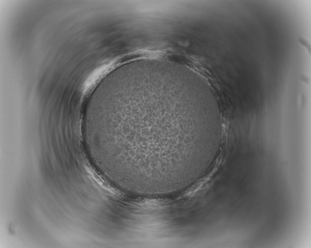 X0000100910149200807011251