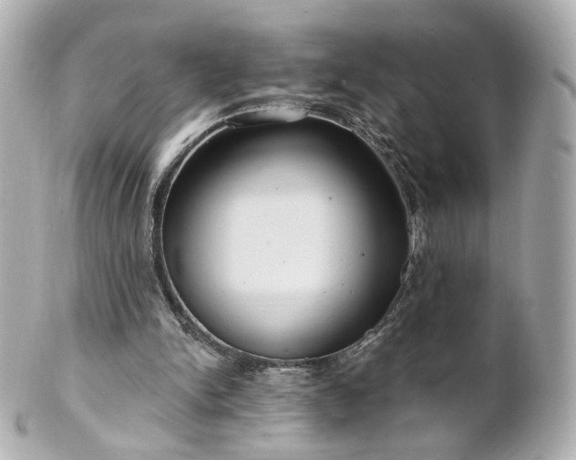 X0000100910150200807011251
