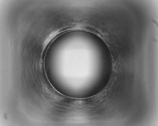 X0000100910152200807011251