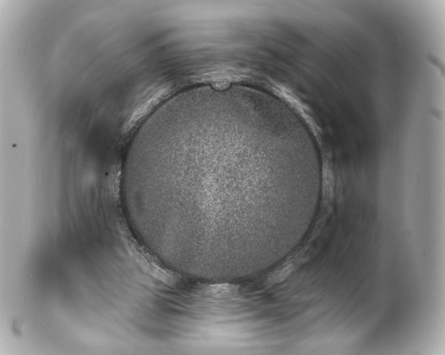X0000100910153200807011251