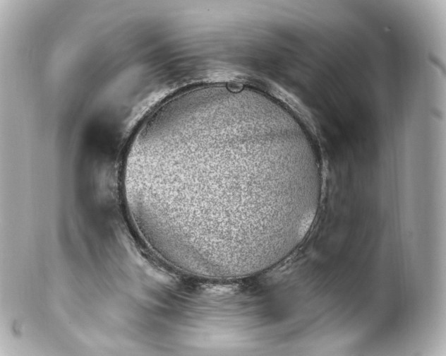 X0000100910155200807011252