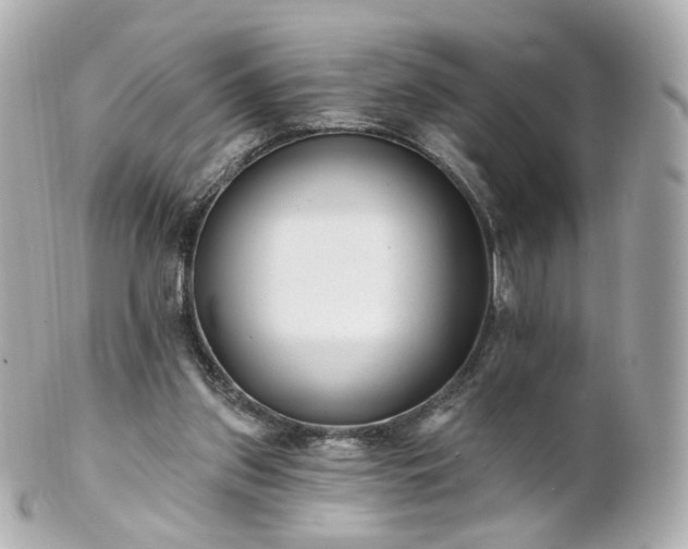 X0000100910157200807011252