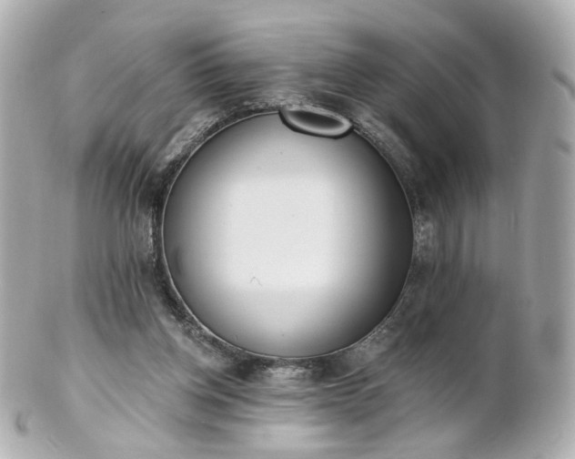 X0000100910158200807011252