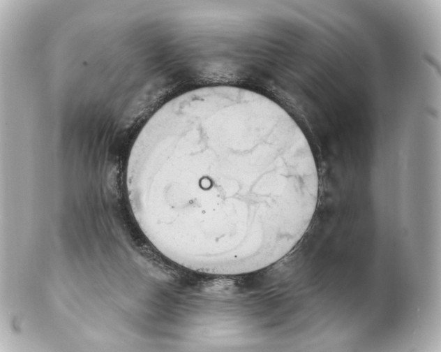 X0000100910162200807011252