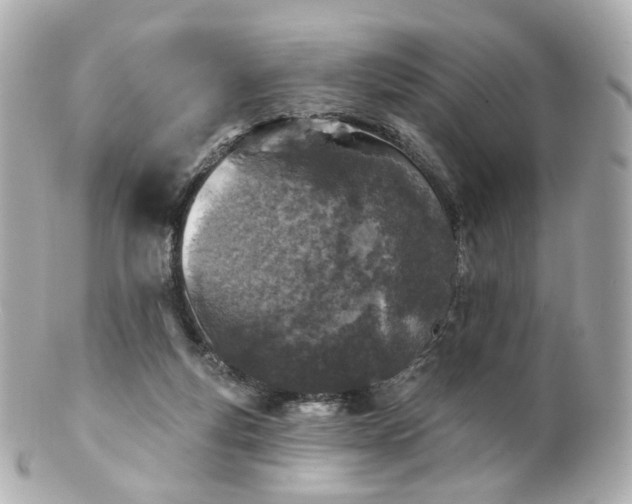 X0000100910163200807011252