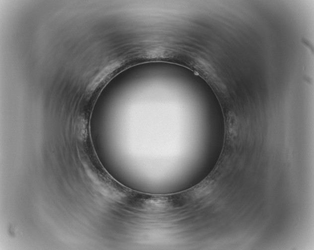 X0000100910164200807011252