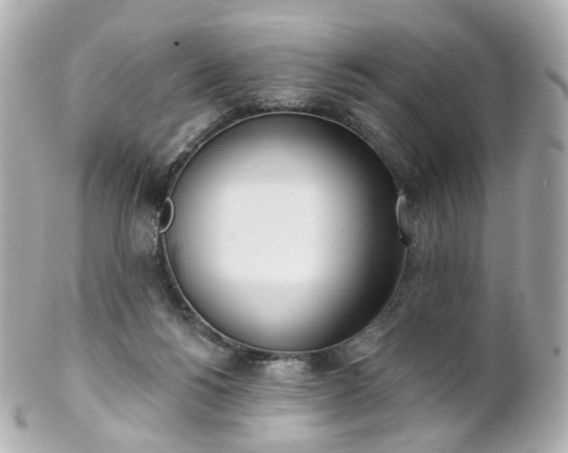 X0000100910168200807011252