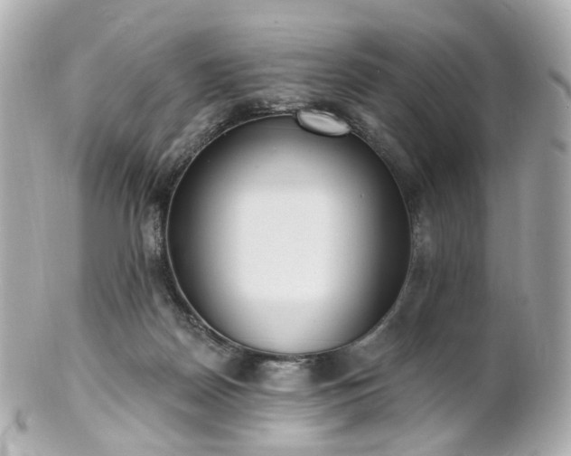 X0000100910170200807011252