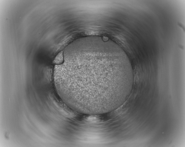 X0000100910171200807011252