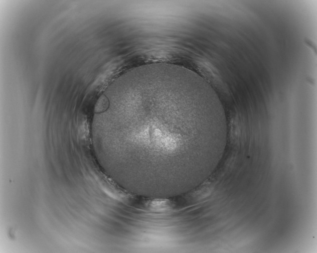 X0000100910173200807011252