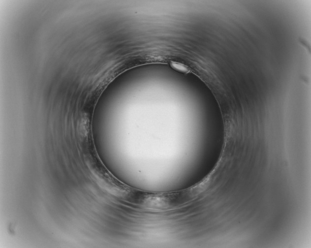 X0000100910174200807011252