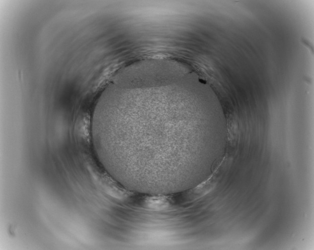X0000100910175200807011252