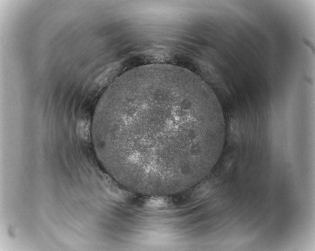 X0000100910177200807011252