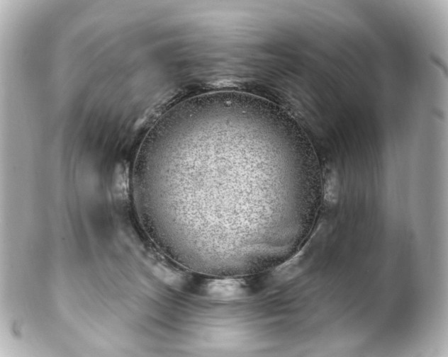X0000100910179200807011252