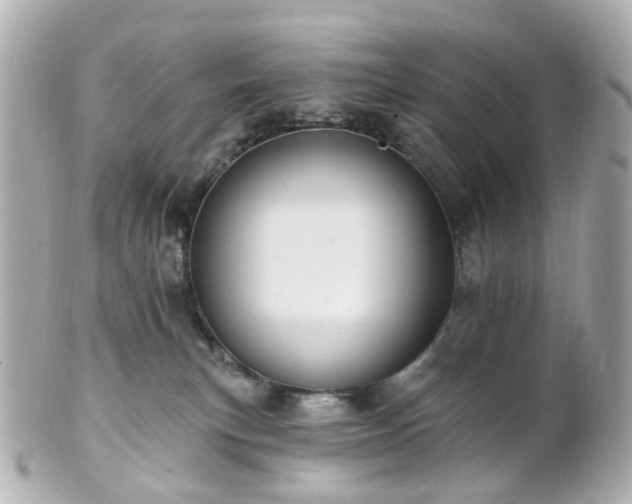 X0000100910183200807011252