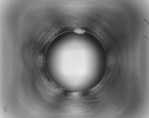 X0000100910184200807011252