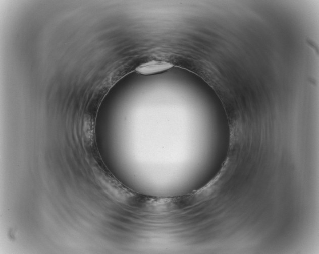 X0000100910186200807011252