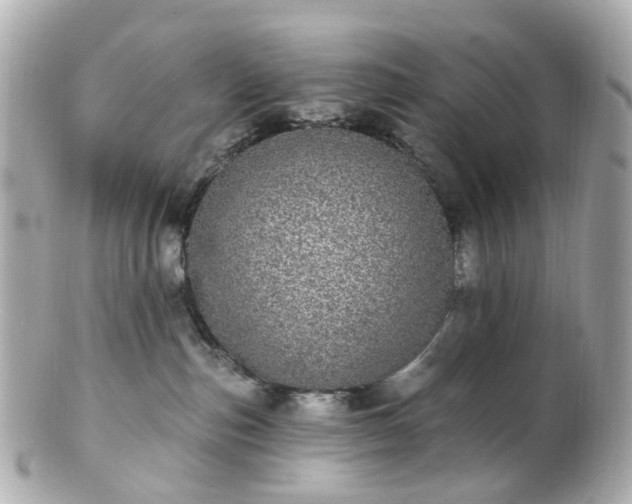 X0000100910187200807011252