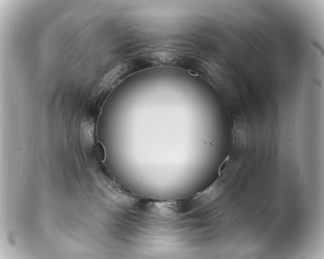 X0000100910188200807011252