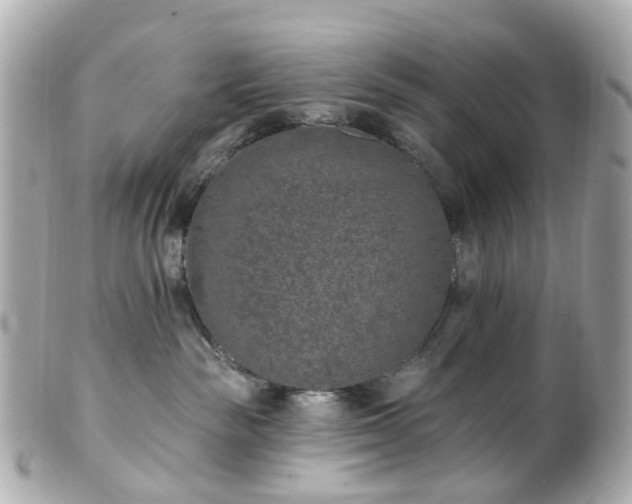 X0000100910189200807011252