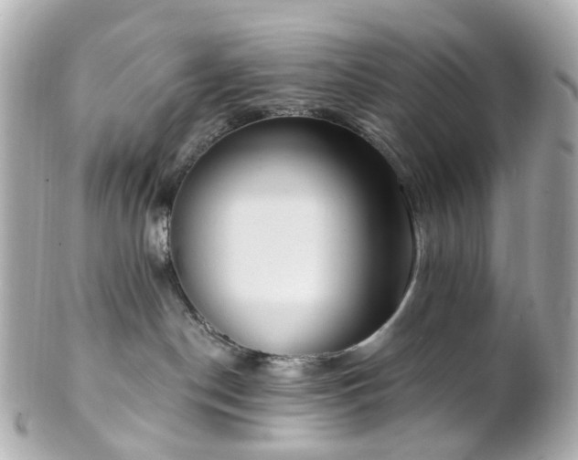 X0000100910190200807011252