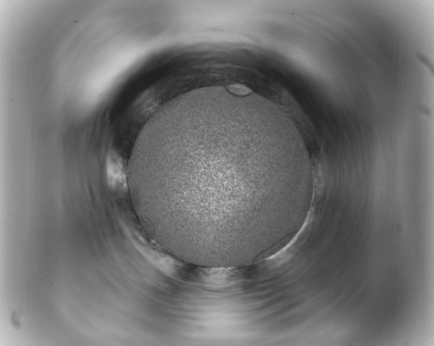 X0000100910191200807011252