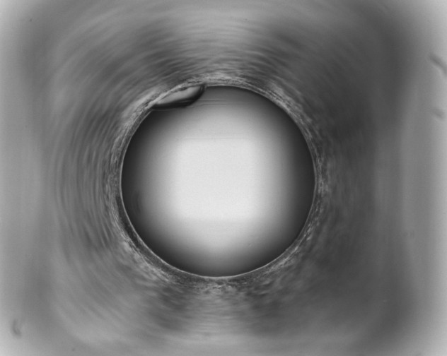 X0000100910193200807011251