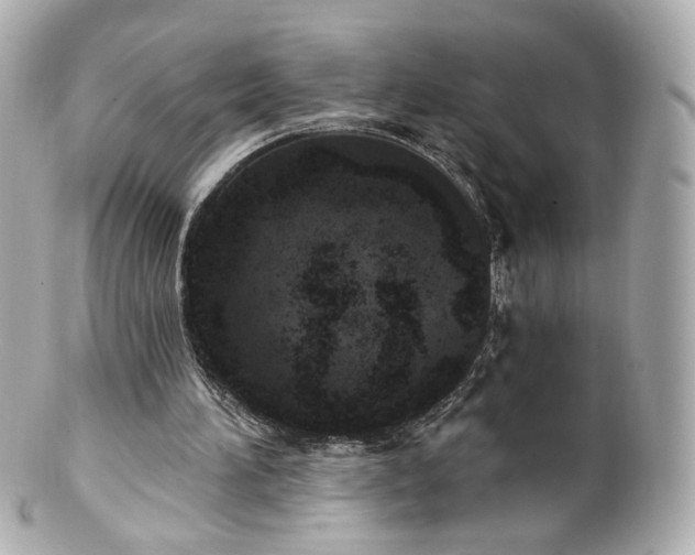 X0000100910196200807011251