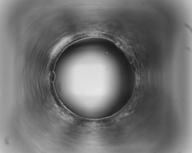 X0000100910197200807011251