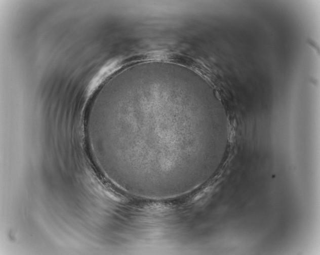 X0000100910198200807011251