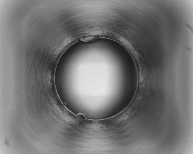 X0000100910201200807011251