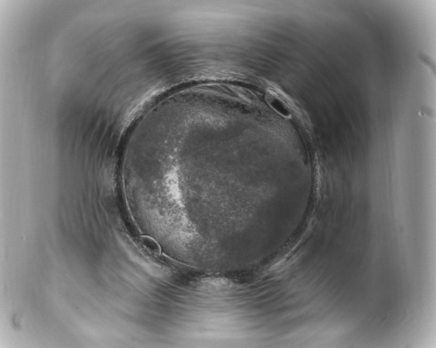 X0000100910203200807011251
