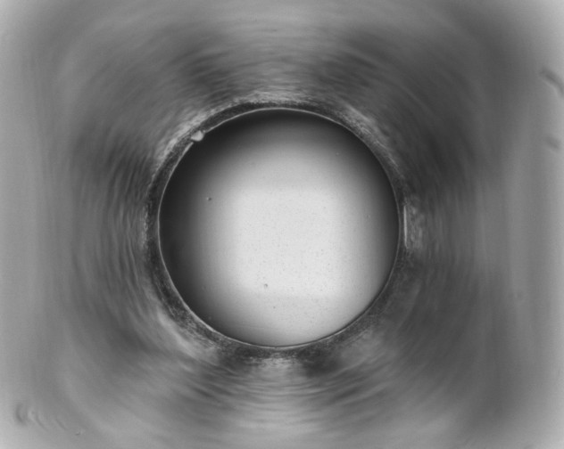 X0000100910204200807011251
