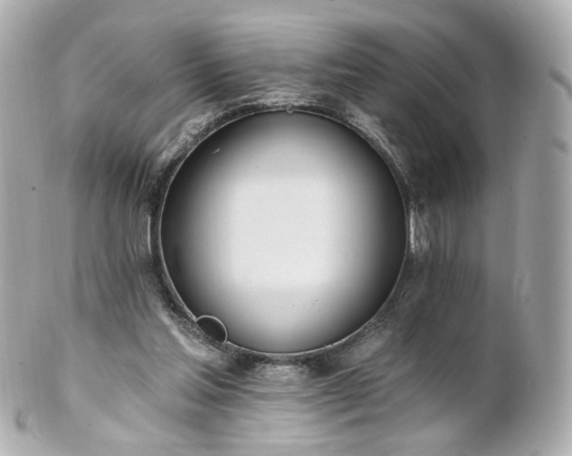 X0000100910205200807011251