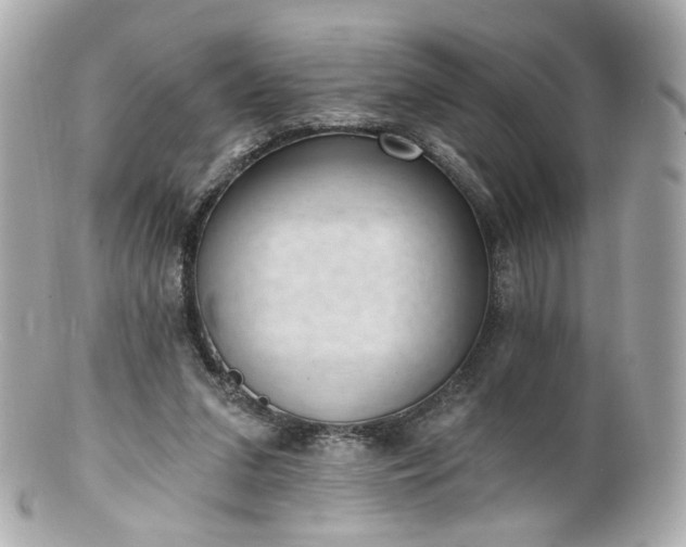 X0000100910207200807011251
