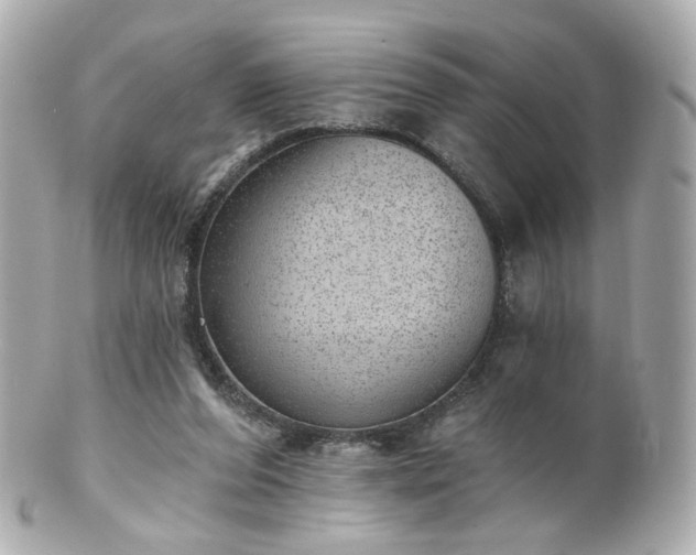 X0000100910208200807011251