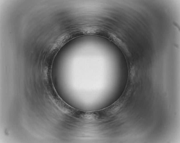 X0000100910209200807011251