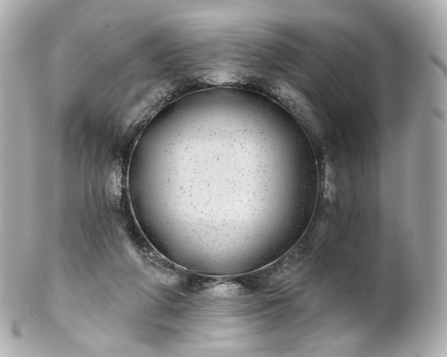 X0000100910210200807011251