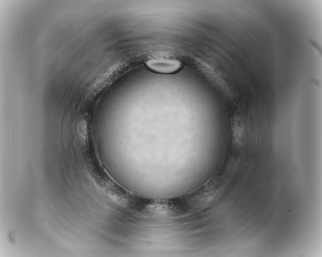 X0000100910211200807011251